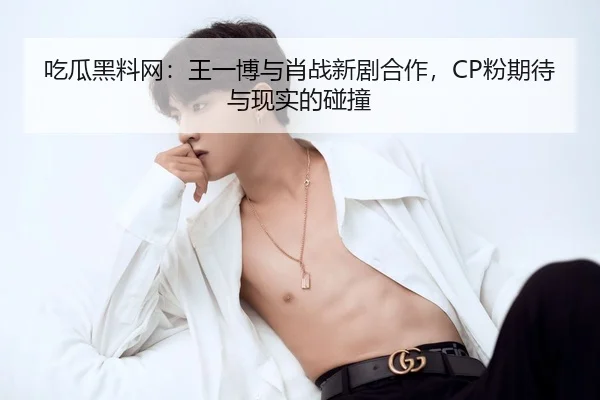 吃瓜黑料网：王一博与肖战新剧合作，CP粉期待与现实的碰撞